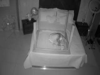 voyeurcam-casa-salsa-bedroom-3 webcam model stream image
