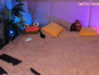 virtual_lady webcam model stream image