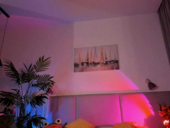 virtual_lady webcam model stream image