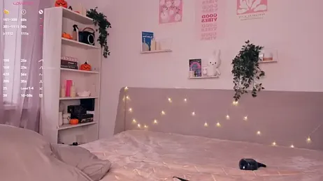 EvaSolisv webcam model stream image