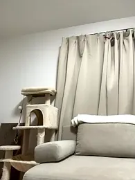 H_Kirachan webcam model stream image