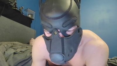 MShenko webcam model stream image