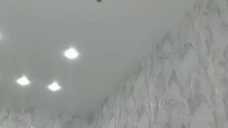 succubus webcam model stream image