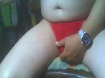 leobau webcam model stream image