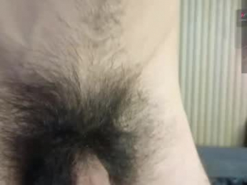 danmaxwell_ webcam model stream image