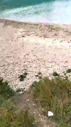 Gatinho_spain webcam model stream image