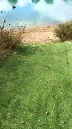 Gatinho_spain webcam model stream image