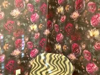 tylerdavidcreator webcam model stream image