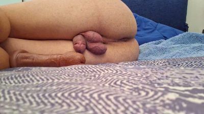 SchiavoCEI webcam model stream image