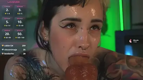EvaCanton webcam model stream image