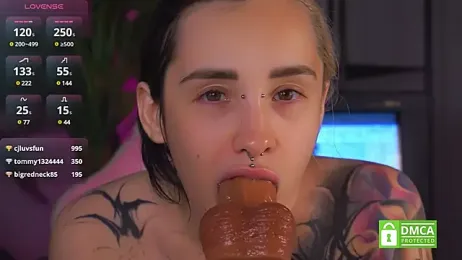 EvaCanton webcam model stream image