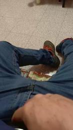 Brutuss webcam cam4 model stream image