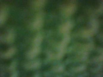 Zlaya_Mama webcam model stream image