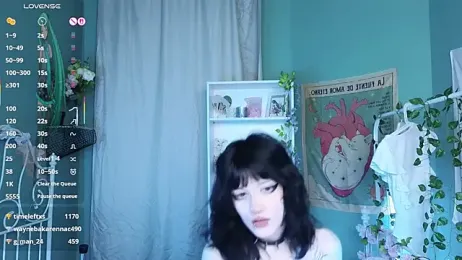 Setsunai_ webcam model stream image