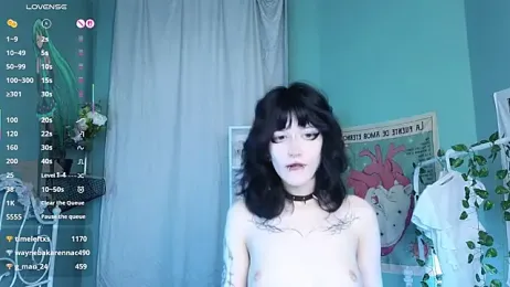 Setsunai_ webcam model stream image