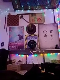 Buffshagswell webcam model stream image