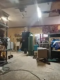 Buffshagswell webcam model stream image