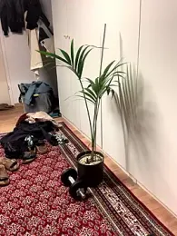 Sash_Ge webcam model stream image