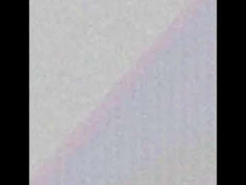 helenebird webcam model stream image