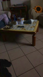 Famabri webcam model stream image