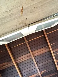 gavi_19cm webcam model stream image