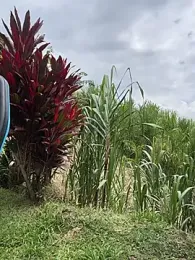 Marco_Vega webcam model stream image