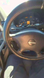 Kleindude webcam model stream image