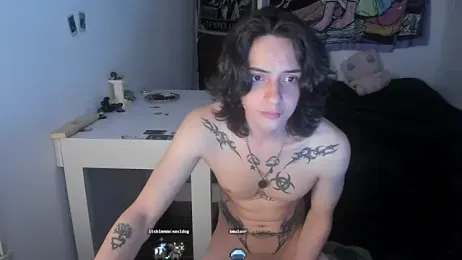 sai_l01 webcam model stream image