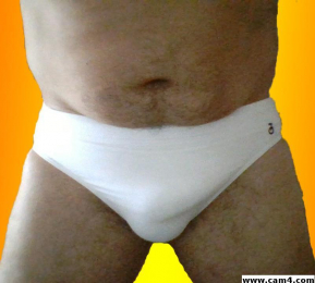 pongibear webcam model stream image