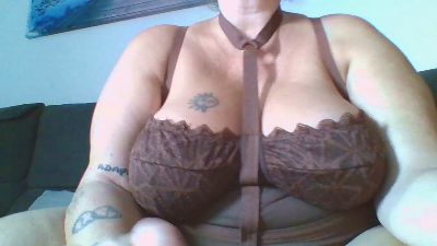 Curvycanary80 webcam model stream image