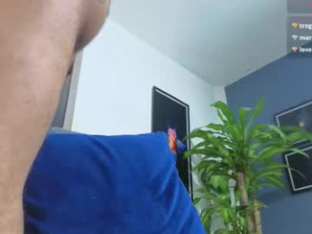 silvabranko webcam model stream image