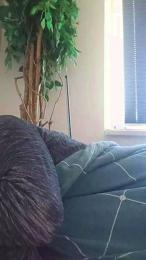 Lienlingsidiot webcam cam4 model stream image