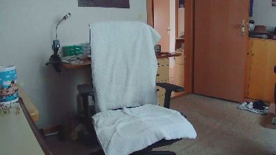 Hansi_6 webcam model stream image