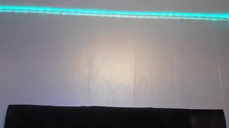 tamarapervert webcam model stream image