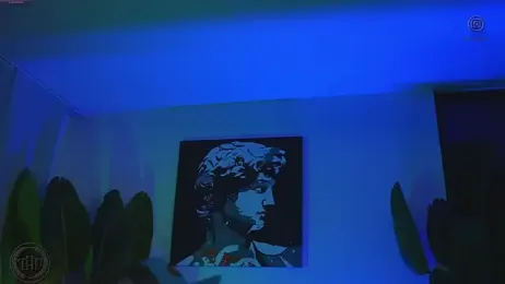 Thomas_Falcon webcam model stream image