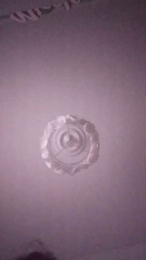 porca1971 webcam model stream image