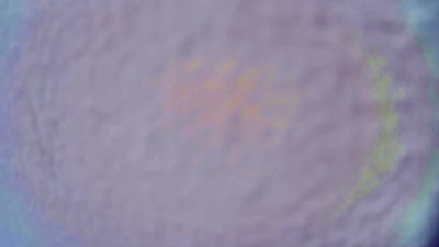 Lisbeth_69 webcam cam4 model stream image