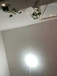 haileyhope_ webcam model stream image