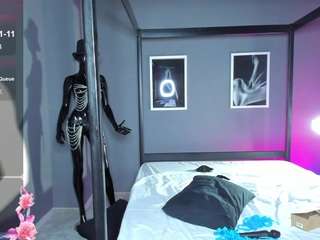 el1s-evans webcam model stream image