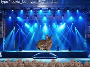 cokia_ webcam model stream image