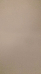 liquify webcam model stream image