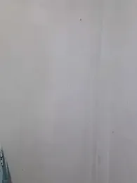 Crazy_Cat1995 webcam model stream image