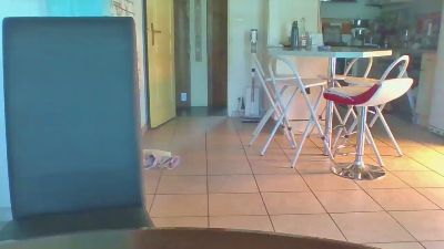 SandElle webcam model stream image