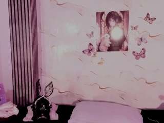 ludovika webcam preview