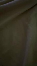 Susibrazil1 webcam preview