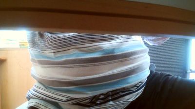 legov4 webcam model stream image