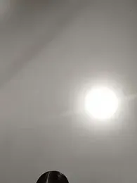 Danzel1105 webcam model stream image
