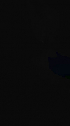 XFaraoneDotatoX webcam model stream image