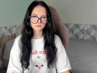 hi-kitti webcam model stream image