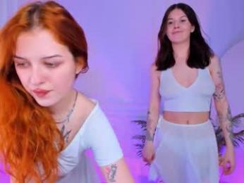 shiny_bell webcam model stream image